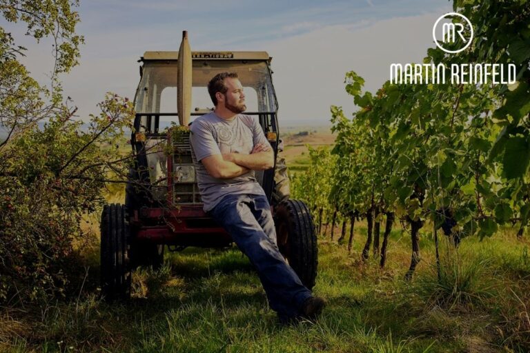 Weingut Martin Reinfeld in Schützen am Gebirge